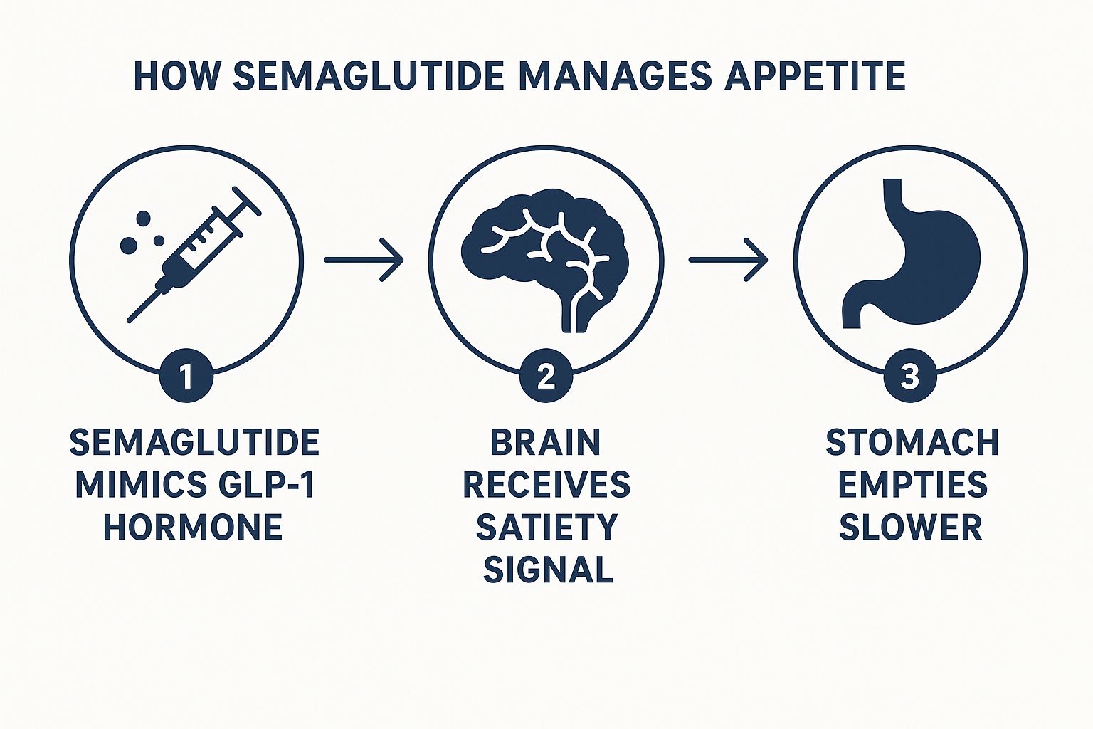Infographic illustrating the process of semaglutide managing appetite by mimicking GLP-1, signaling the brain, and slowing stomach emptying.