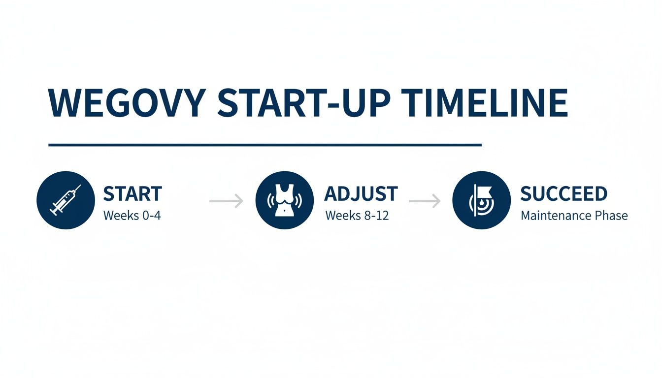 Wegovy start-up timeline showing three phases: Start (weeks 0-4), Adjust (weeks 8-12), and Succeed (maintenance).