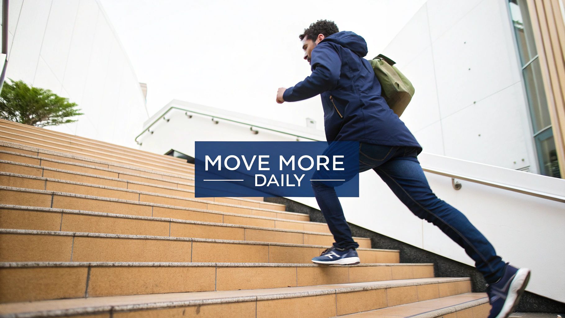 NEAT Optimization (Non-Exercise Activity Thermogenesis)