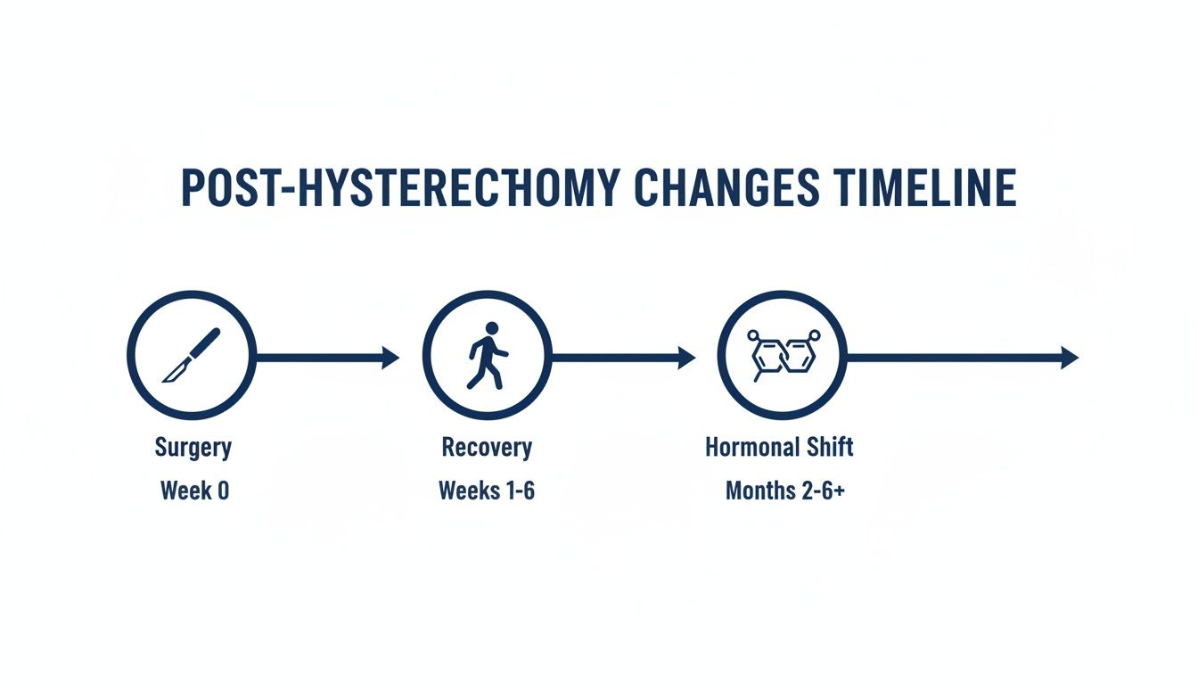 A clear timeline illustrating post-hysterectomy changes: surgery, recovery, and hormonal shift over time.