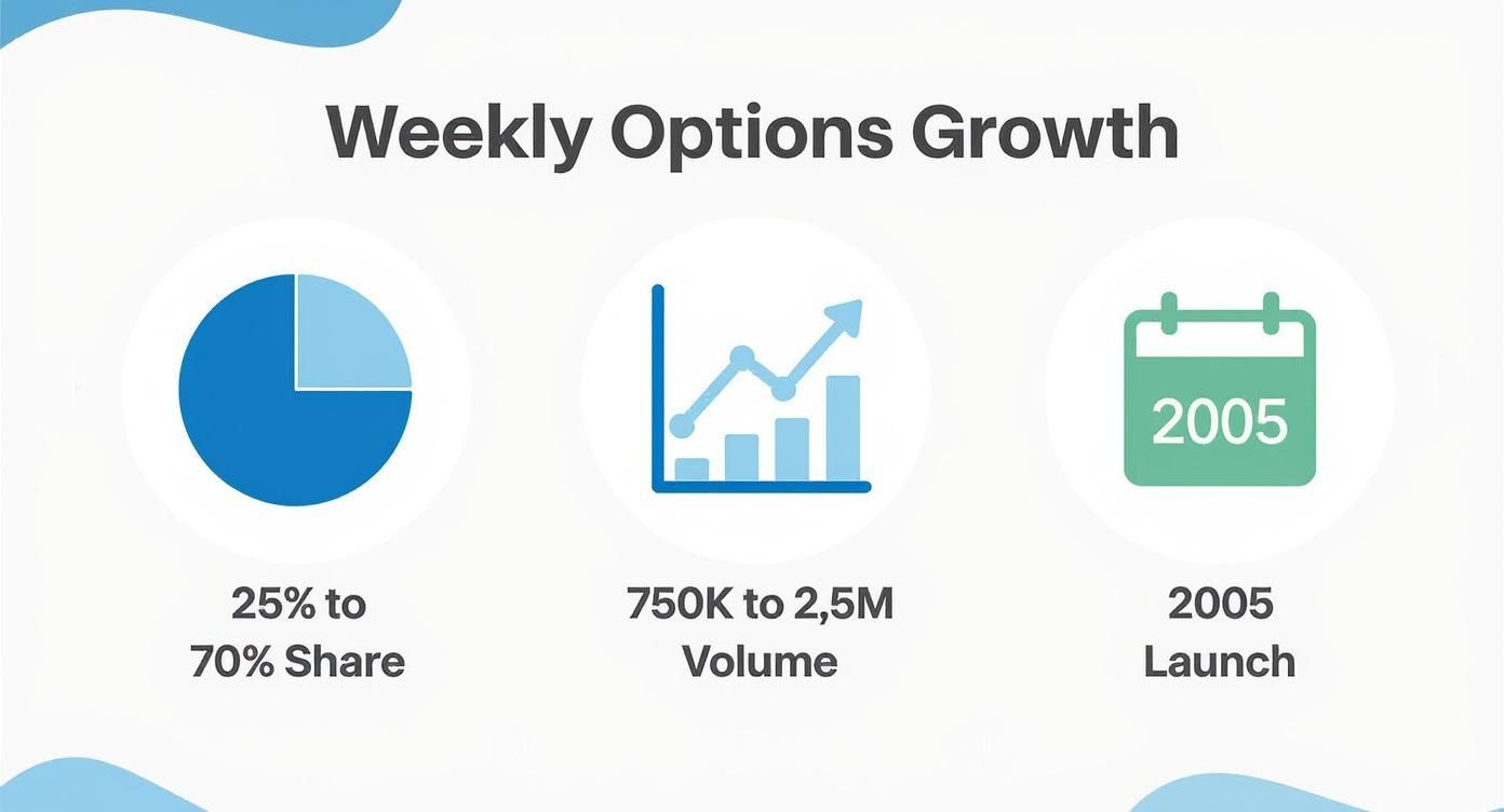 Infographic about weekly options trading strategy Infographic about weekly options trading strategy