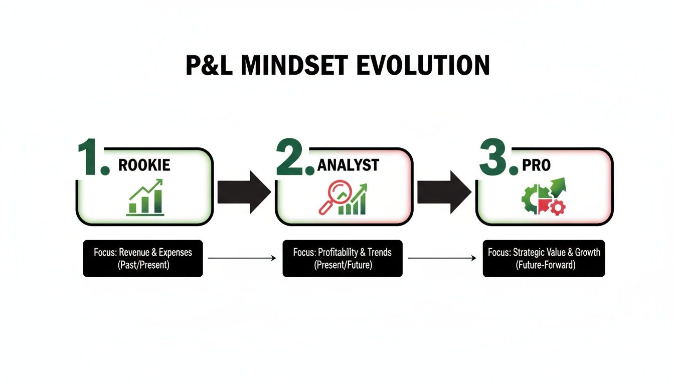 Diagram showing the P&L mindset evolution from Rookie to Analyst to Pro, detailing their financial focus.