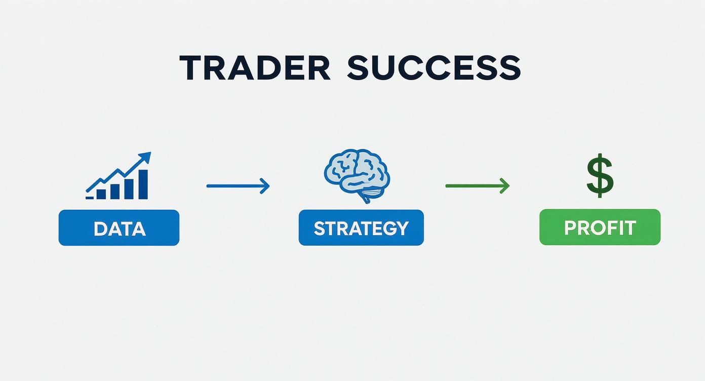 Infographic about profit and loss formulas Infographic about profit and loss formulas