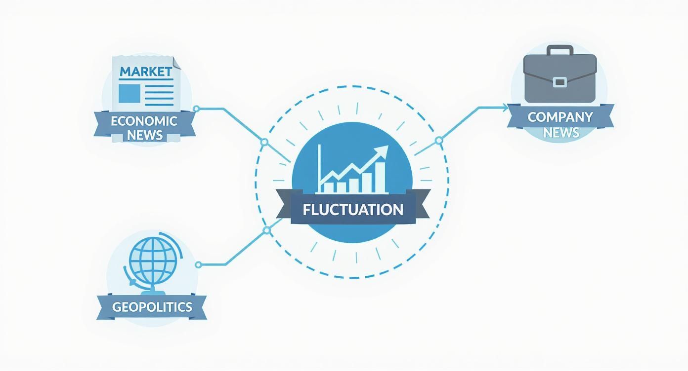 Infographic about what is market volatility Infographic about what is market volatility