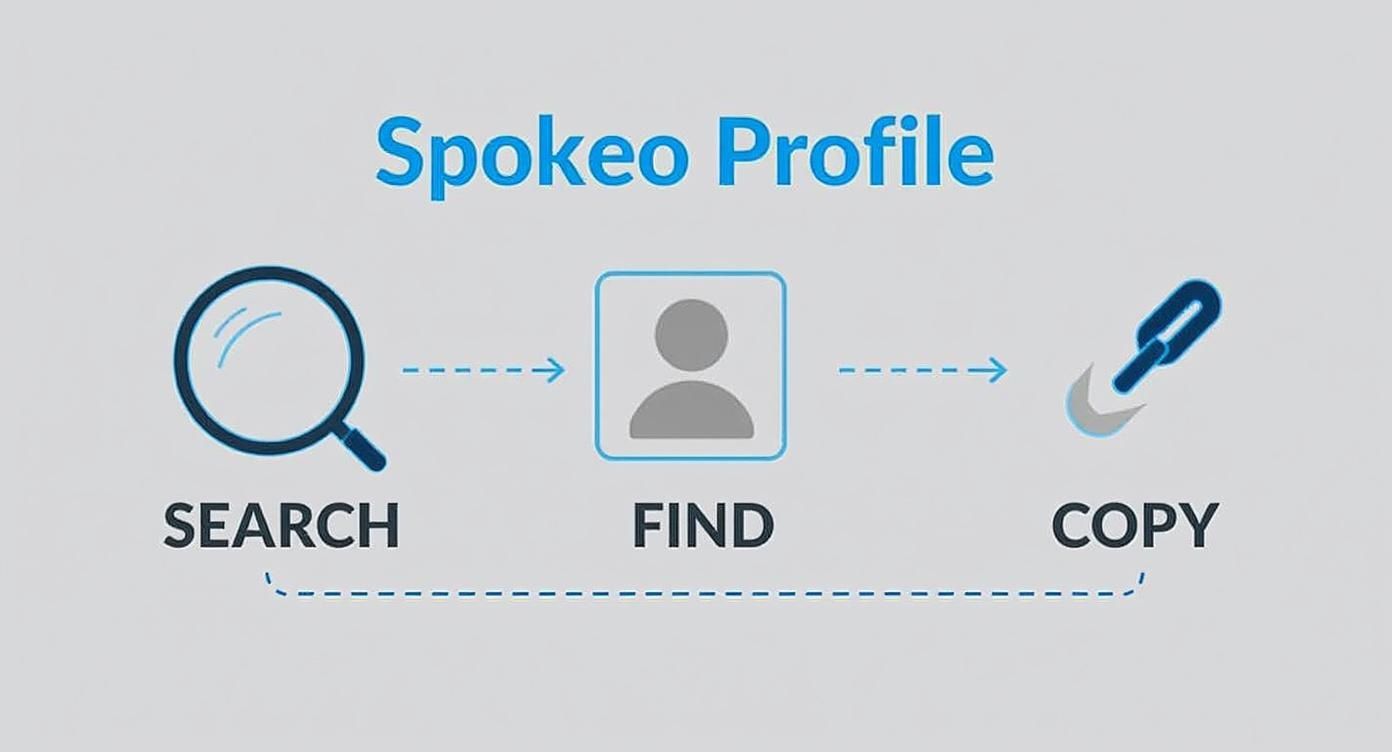 Infographic about how to remove info from spokeo