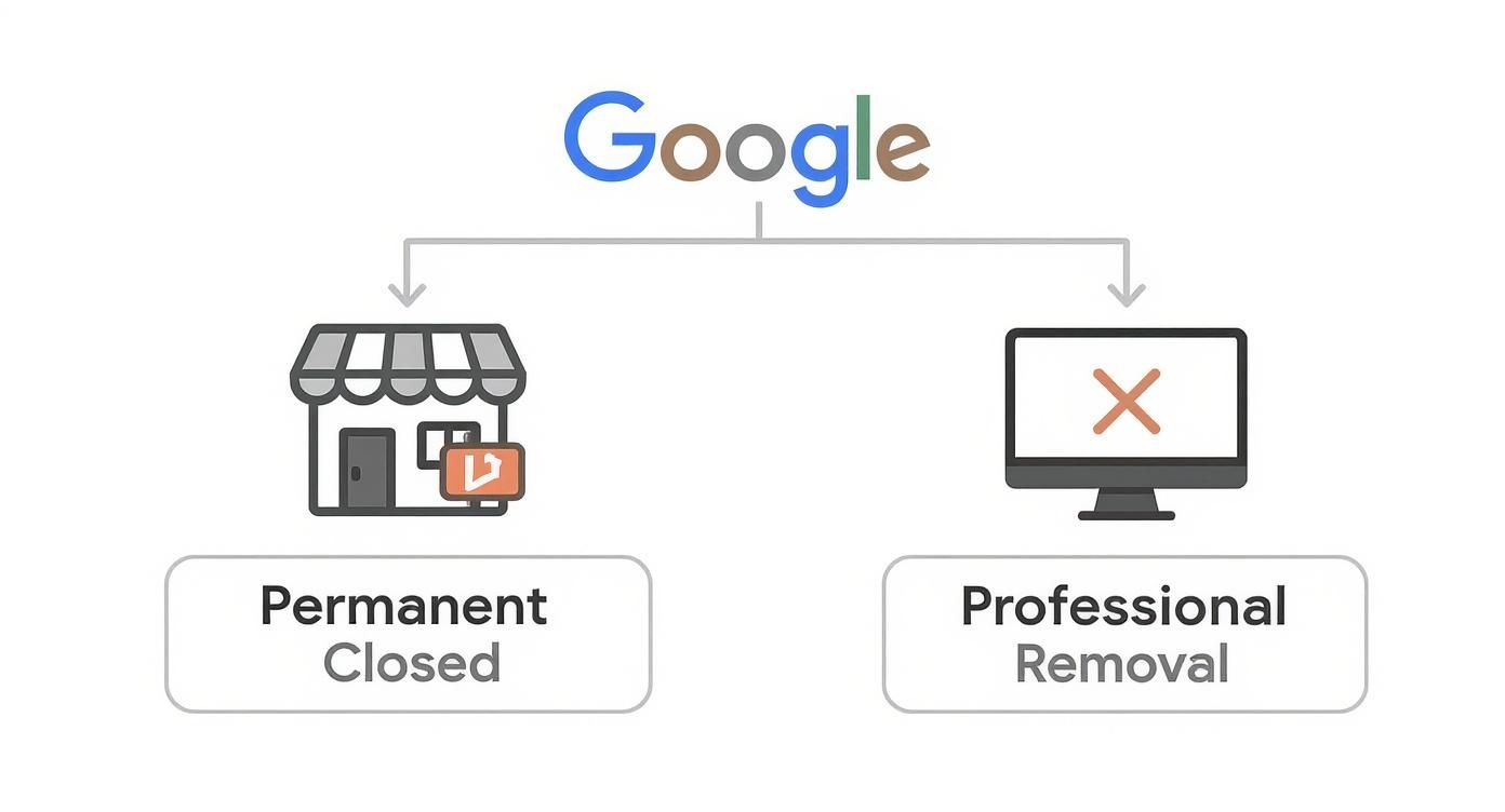Diagram showing two methods for removing a Google listing: marking a business as permanently closed or professional removal.