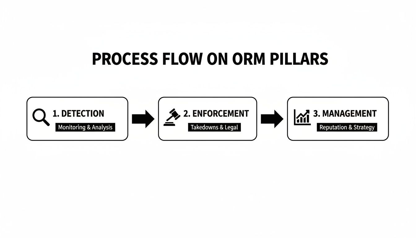 A three-step process flow diagram illustrating Online Reputation Management pillars: Detection, Enforcement, and Management.