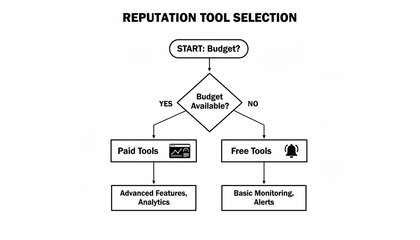 Flowchart showing reputation tool selection process based on budget availability for paid or free options.