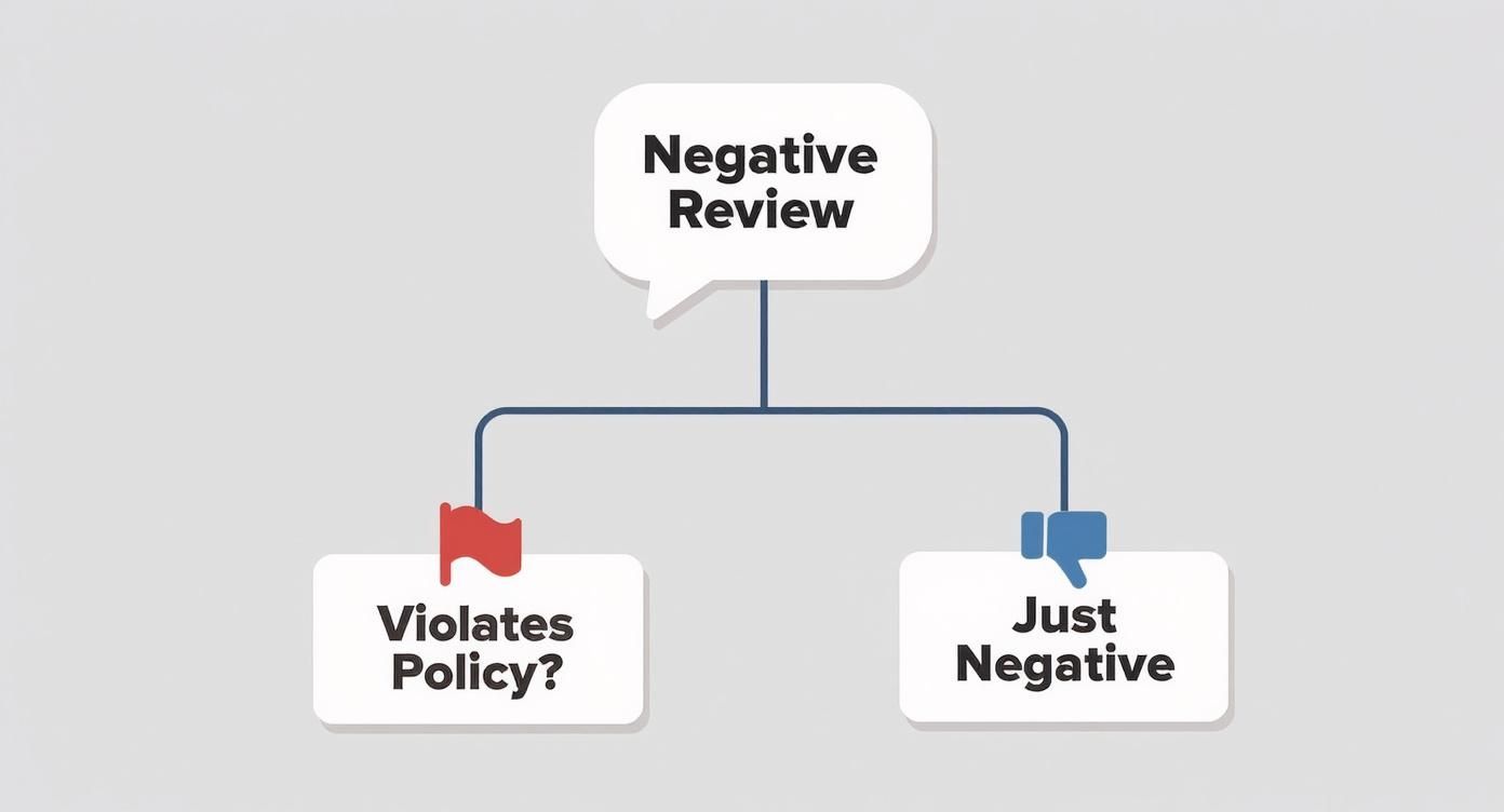 A flowchart categorizes a 'Negative Review' into 'Violates Policy?' with a flag, or 'Just Negative' with a thumbs down.