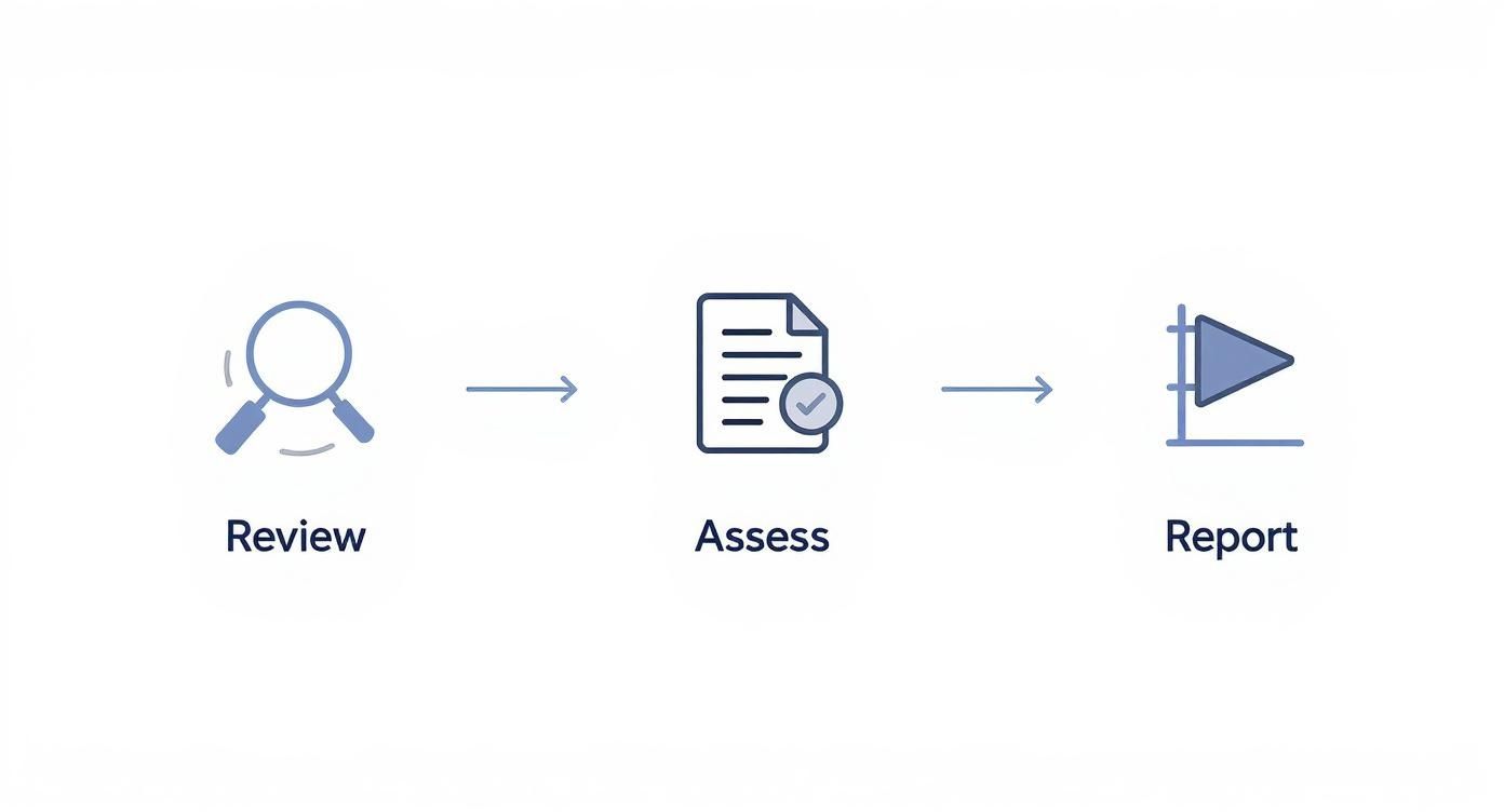 A three-step process diagram showing Review, Assess, and Report with corresponding icons and arrows.