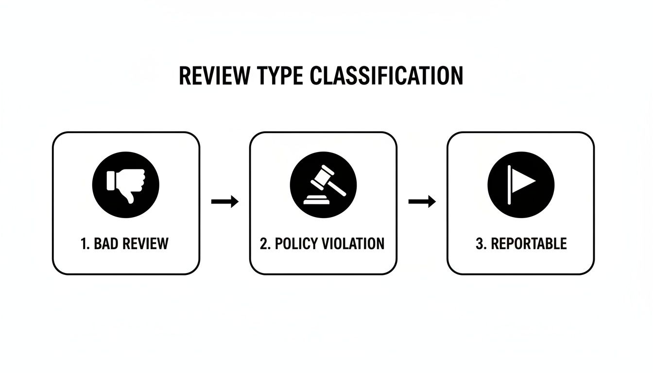 Flowchart illustrating the classification of review types: bad review, policy violation, and reportable.