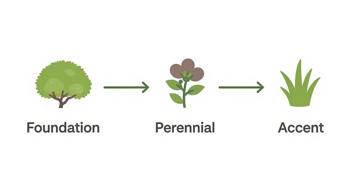 Illustration displaying three types of landscaping plants: foundation tree, perennial flower, and accent grass.
