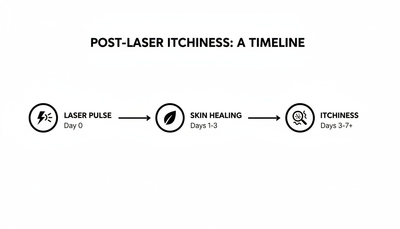 A timeline illustrating post-laser itchiness, showing laser pulse (Day 0), skin healing (Days 1-3), and itchiness (Days 3-7+).