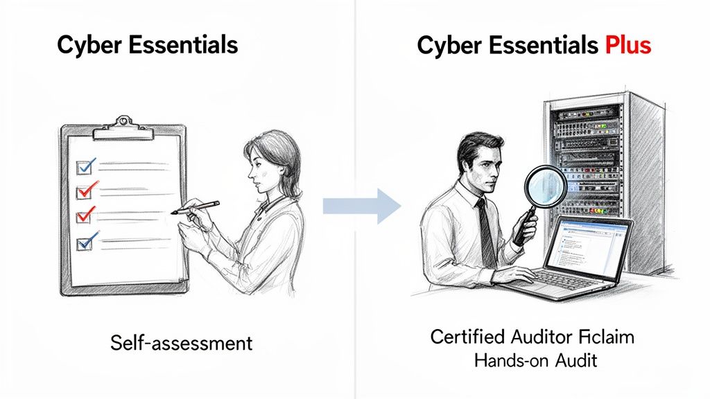 Illustration comparing Cyber Essentials self-assessment checklist with Cyber Essentials Plus hands-on auditor review of a server rack and laptop.