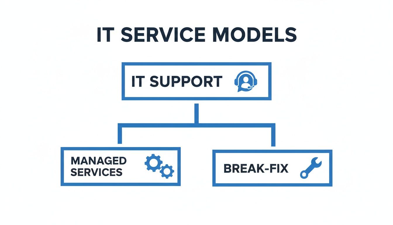 Diagram illustrating IT Service Models, showing IT Support branching into Managed Services and Break-Fix.