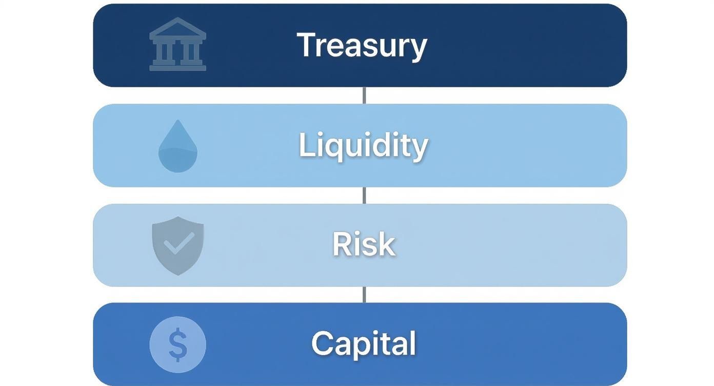A vertical diagram illustrating financial management concepts: Treasury, Liquidity, Risk, and Capital, each with a relevant icon.