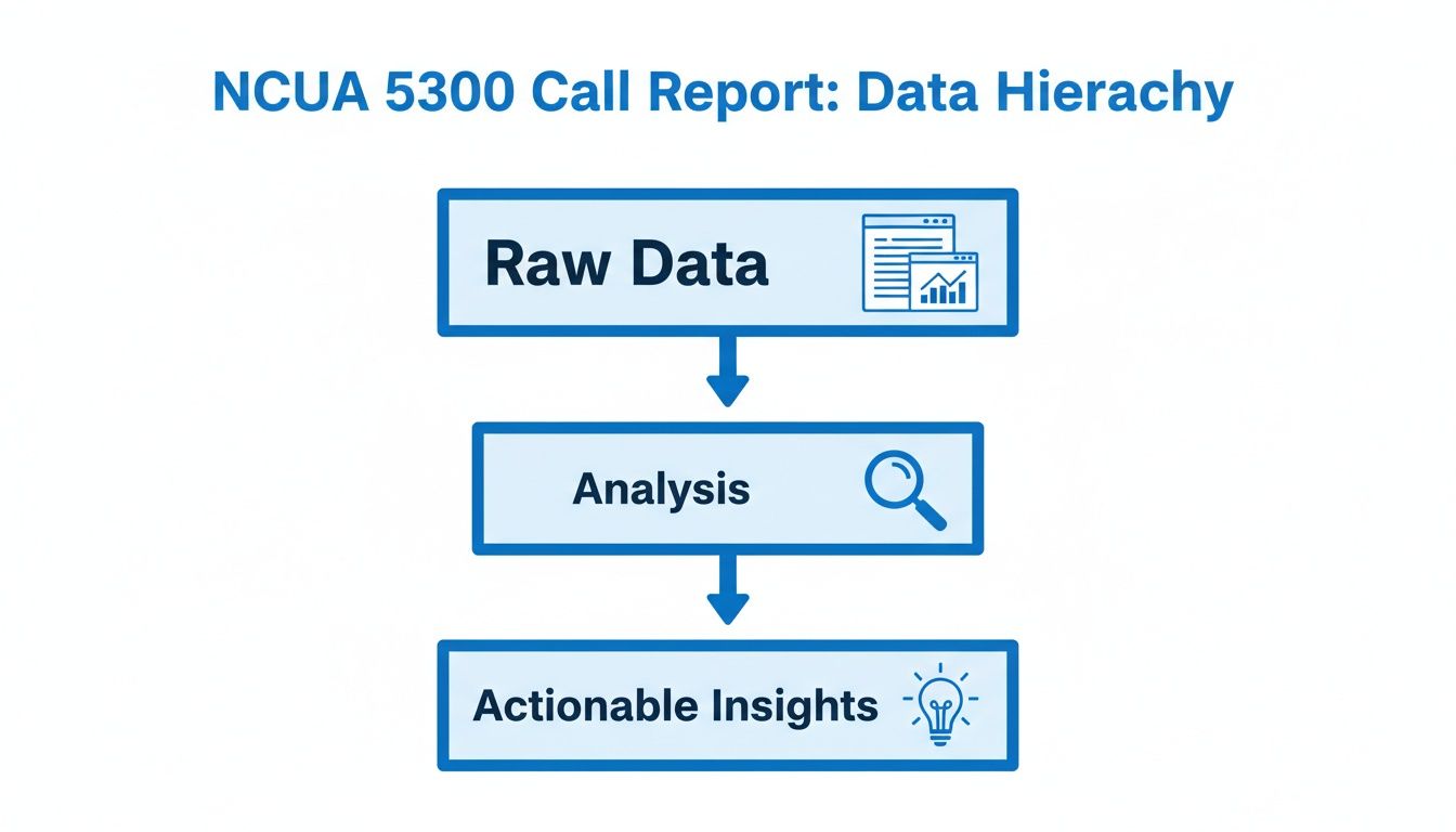 Diagram illustrating the NCUA 5300 Call Report data hierarchy: Raw Data to Analysis to Actionable Insights.