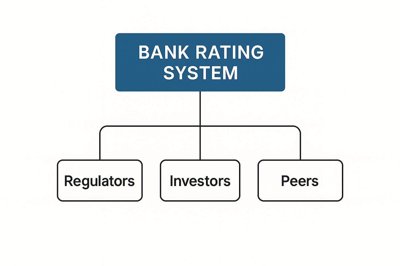Infographic showing a hierarchy diagram where 'Bank Rating System' branches out to 'Regulators', 'Investors', and 'Peers'.