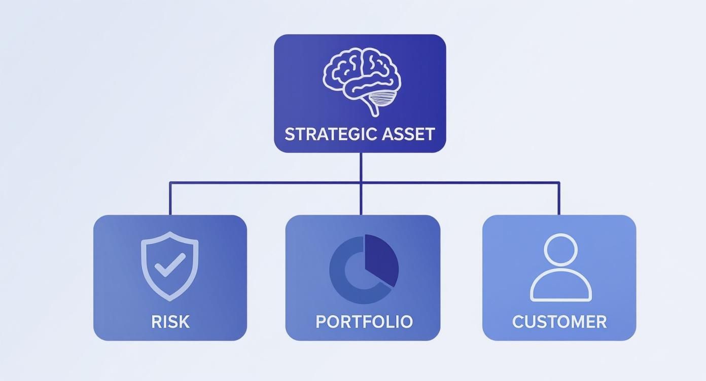 Infographic about metro 2 format for credit reporting