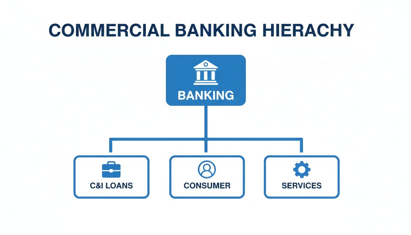 A hierarchy diagram illustrating commercial banking structure, showing C&I loans, consumer, and services.