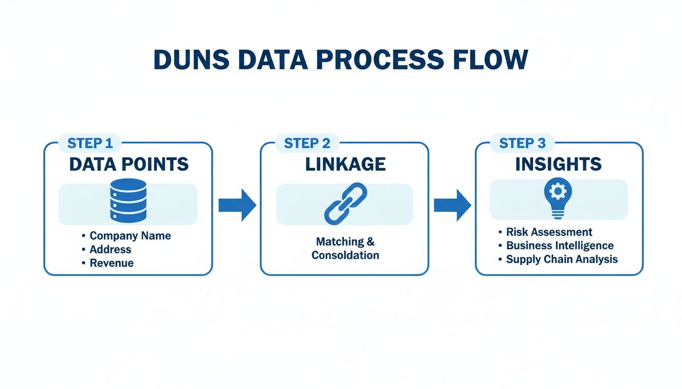 A visual diagram showing the DUNS data process flow, from input data points to linkage and generating insights.