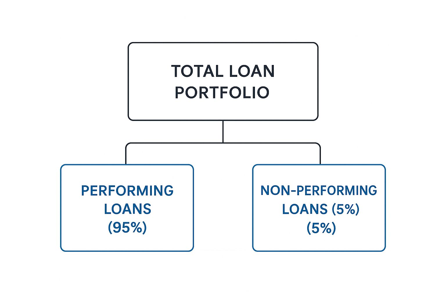 Infographic about non performing loans ratio