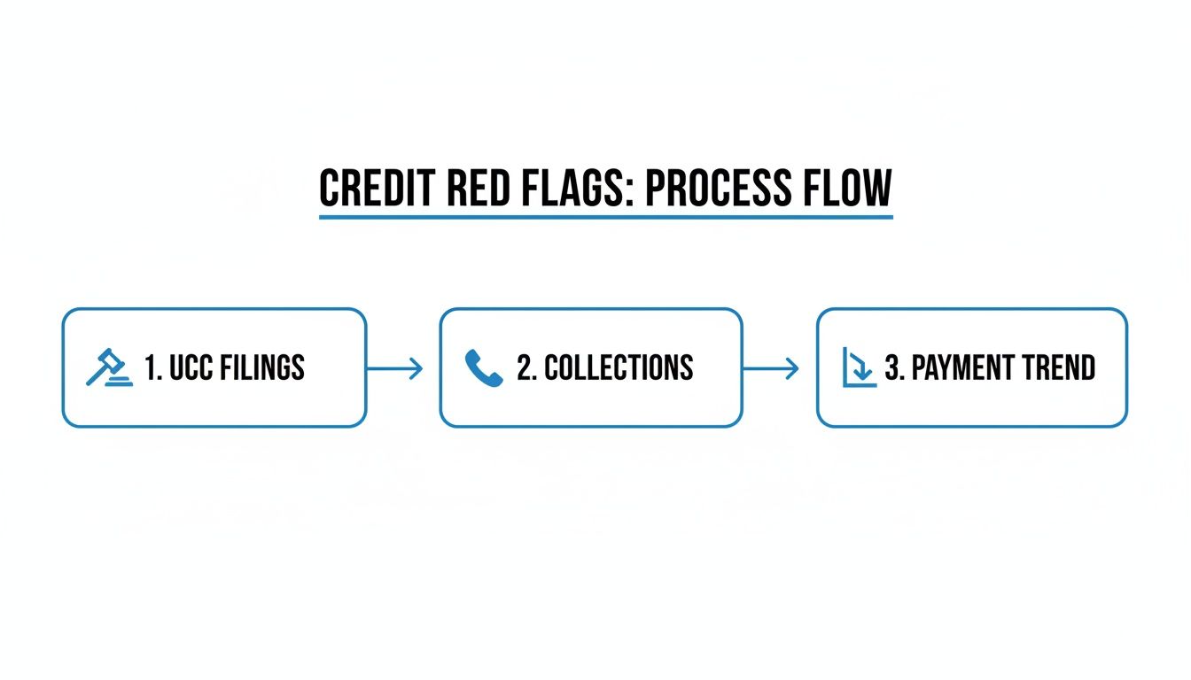A flowchart illustrating credit red flags: UCC filings, collections, and payment trend.