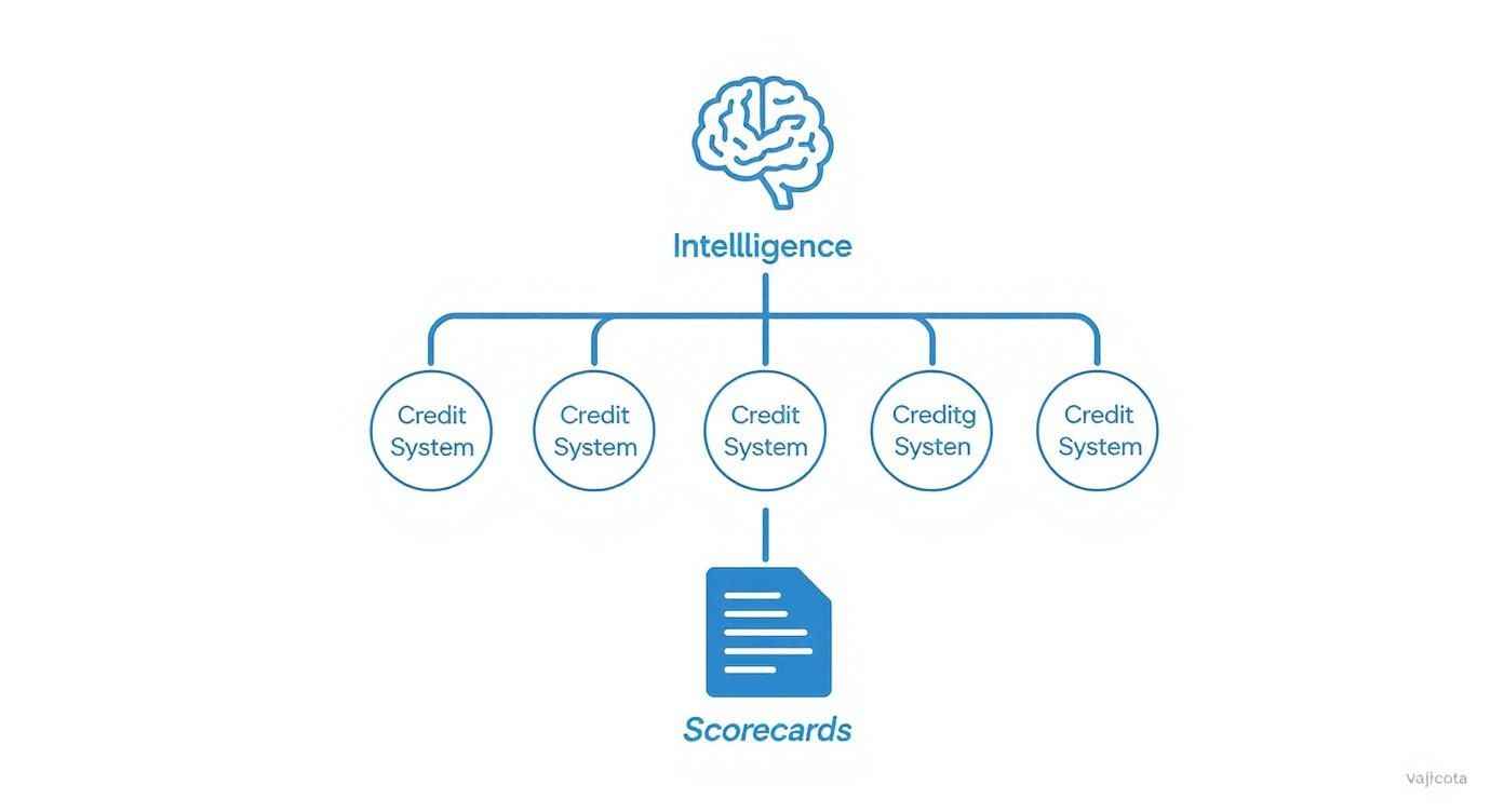 Infographic about credit info systems