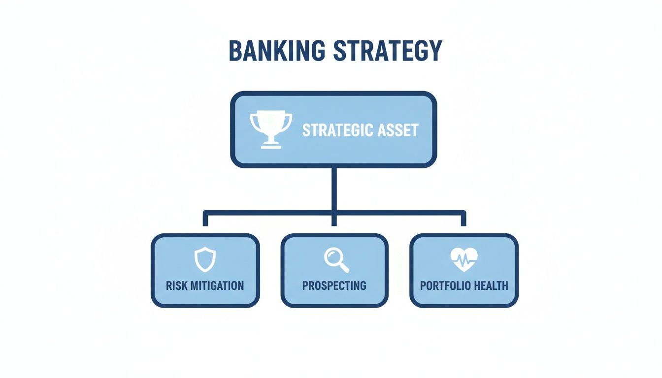 A banking strategy flowchart showing strategic asset leading to risk mitigation, prospecting, and portfolio health.