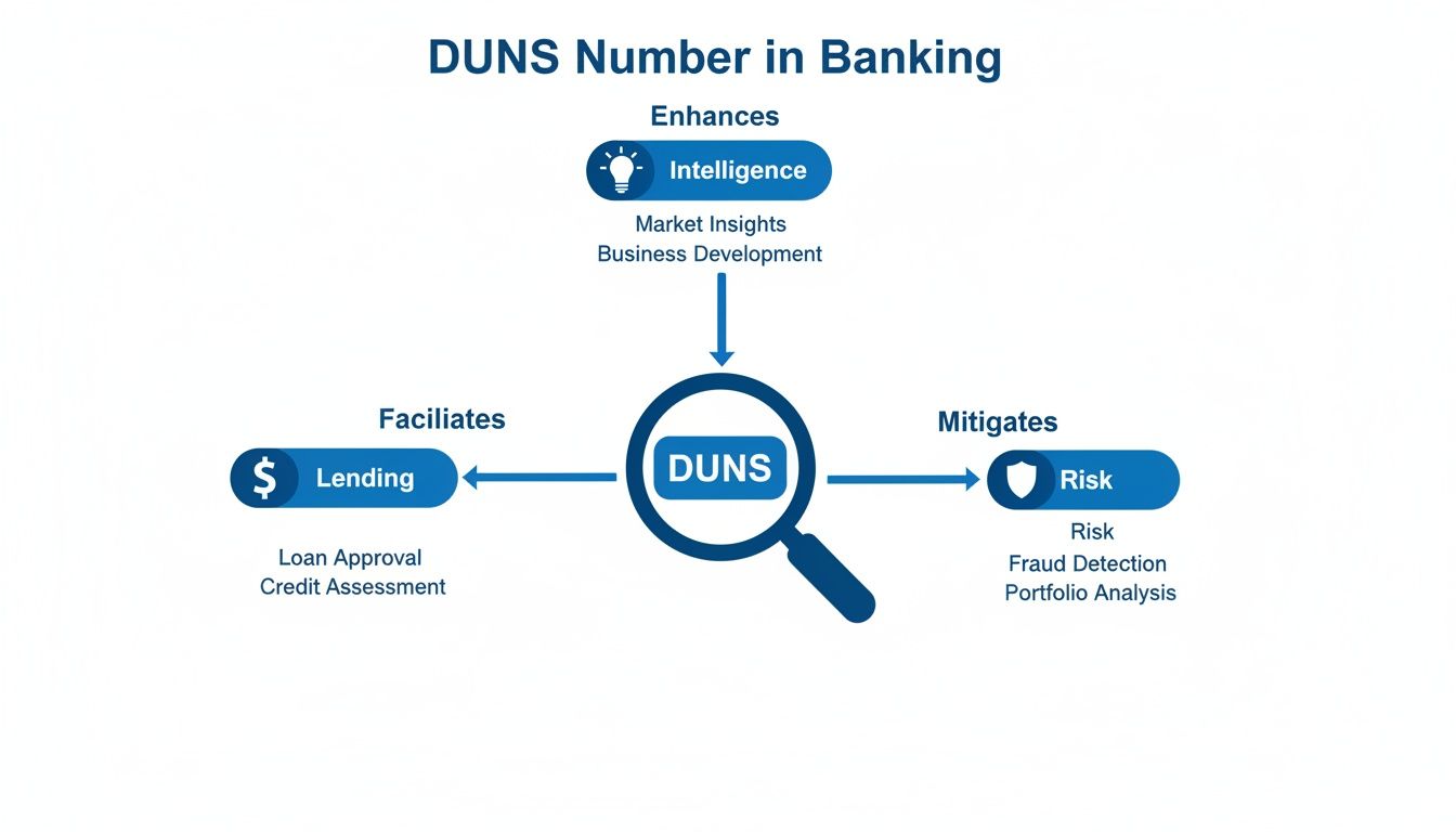 Diagram illustrating how DUNS numbers enhance intelligence, facilitate lending, and mitigate risk in banking operations.