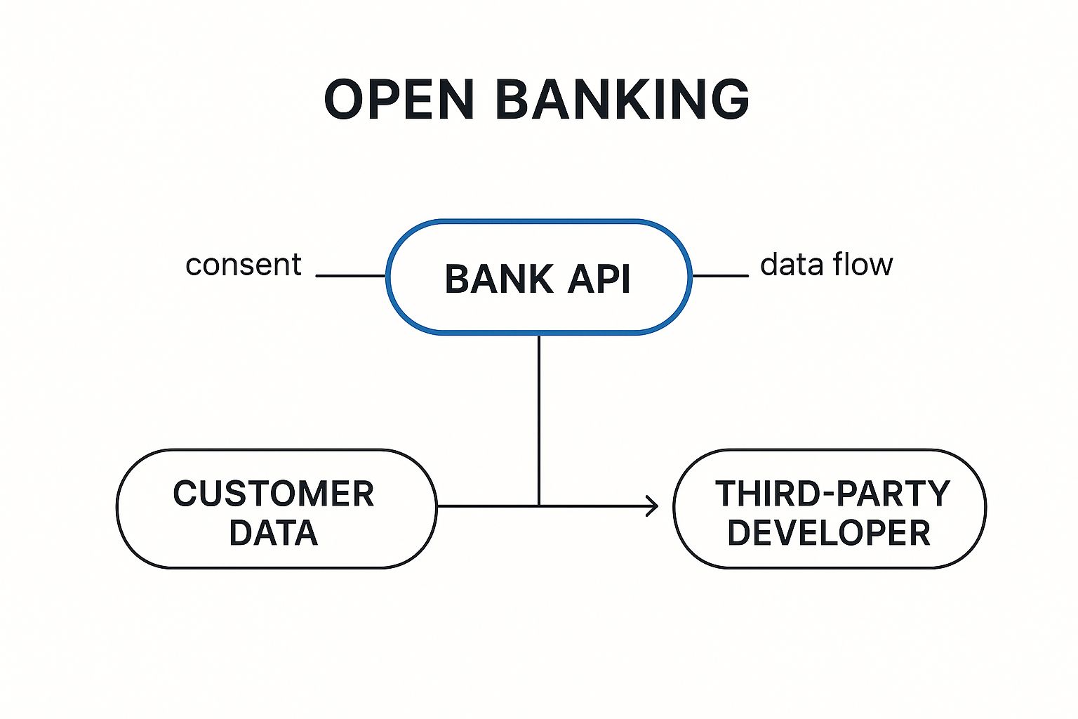 Infographic showing key data about Open Banking APIs
