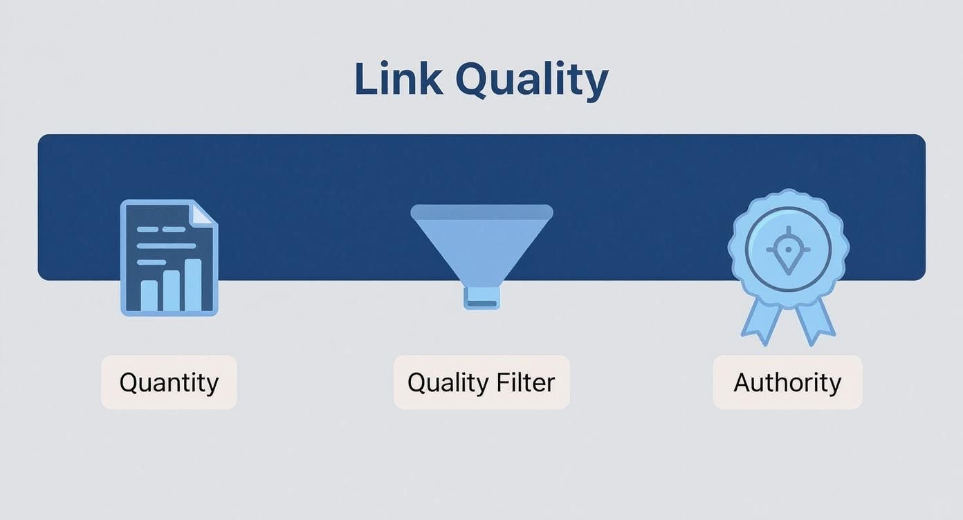 Infographic about what is referring domain