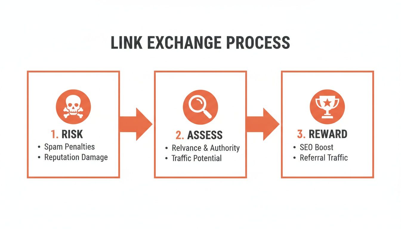 Infographic showing the link exchange process steps: risk, assessment, and rewards for SEO.