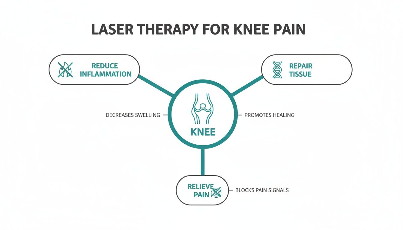 Infographic showing how laser therapy for knee pain reduces inflammation, repairs tissue, and relieves pain.