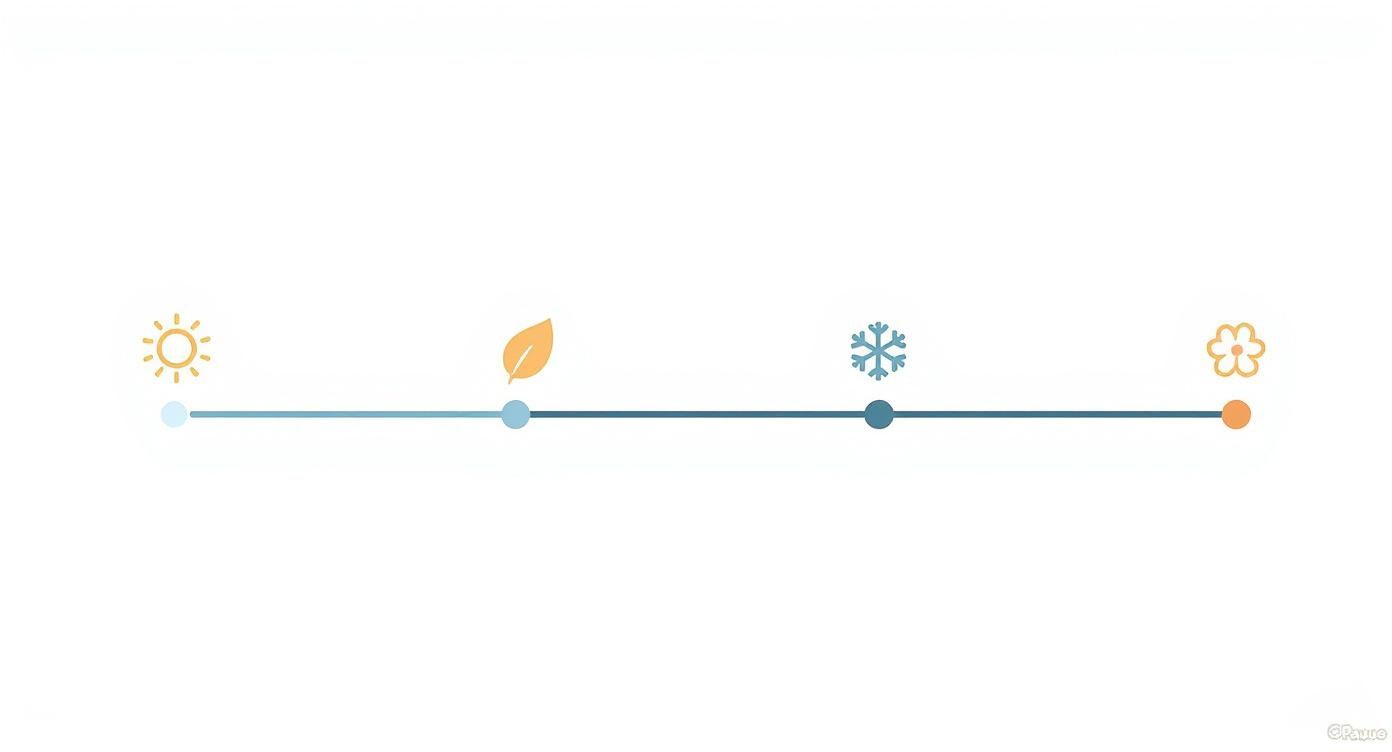 Infographic about best time of year to clean windows