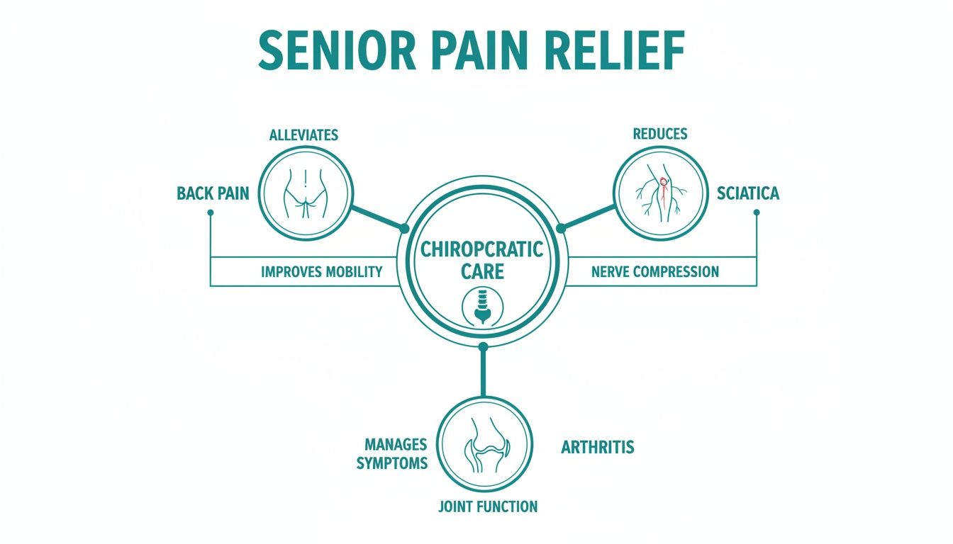 Diagram illustrating how chiropractic care helps seniors alleviate back pain, reduce sciatica, and manage arthritis symptoms.