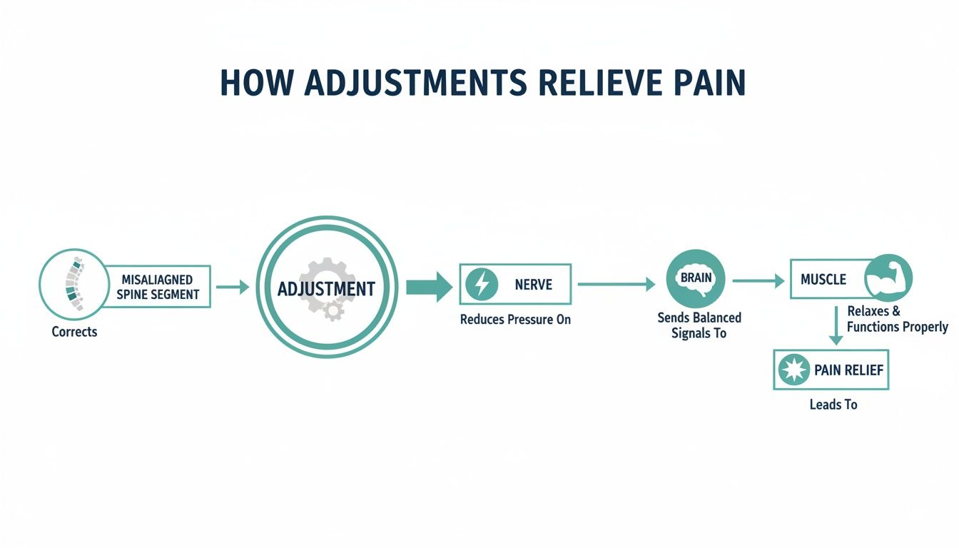 Diagram illustrating how chiropractic adjustments correct misaligned spines, reduce nerve pressure, and lead to pain relief.