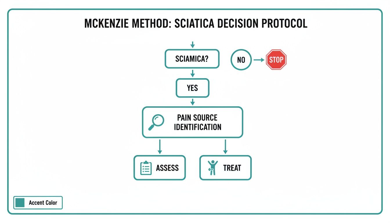 Flowchart outlining the McKenzie Method for sciatica, guiding from diagnosis to pain source identification, assessment, and treatment.