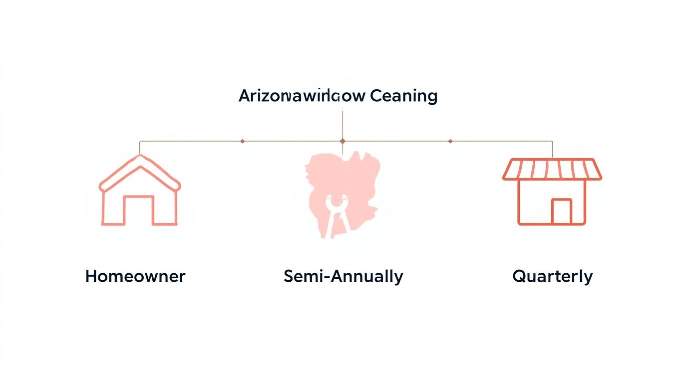 Infographic about how often should windows be cleaned