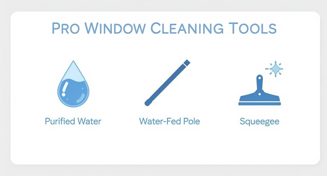 Infographic about what do professional window cleaners use