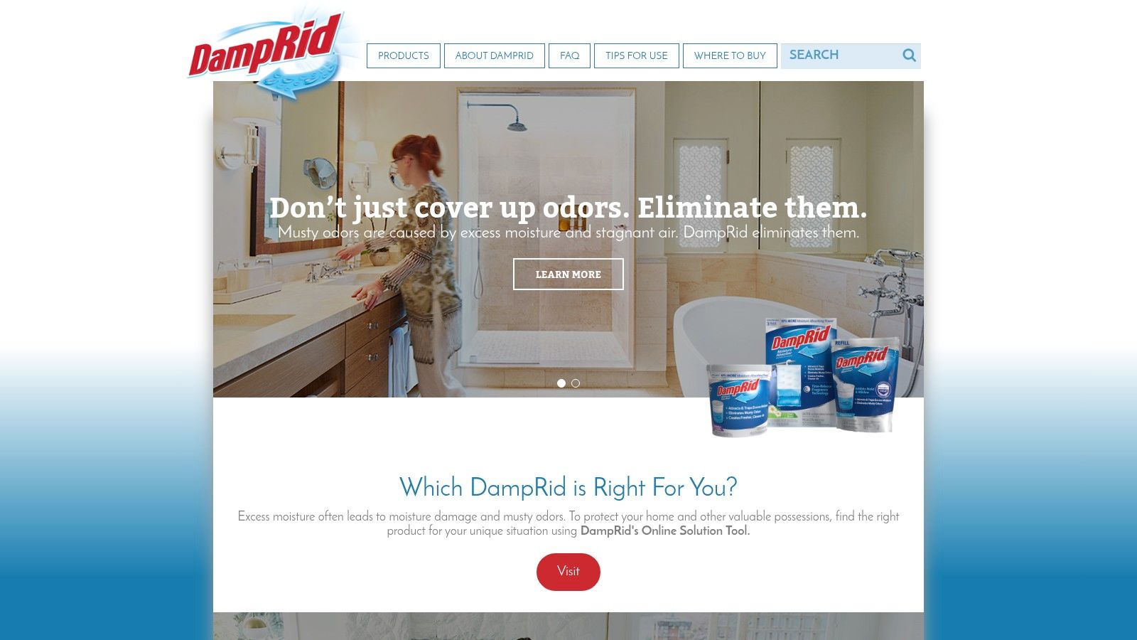DampRid Moisture Absorber