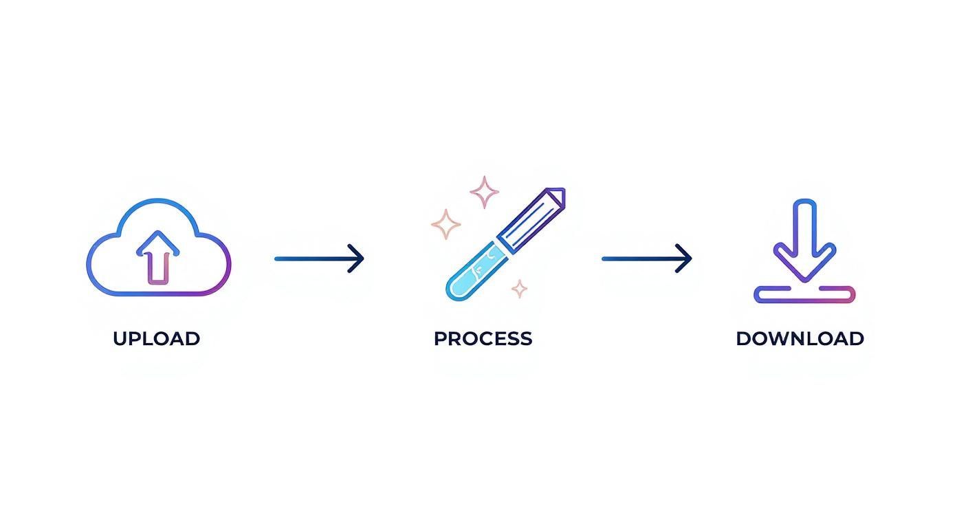 Infographic about turn photos into silhouettes