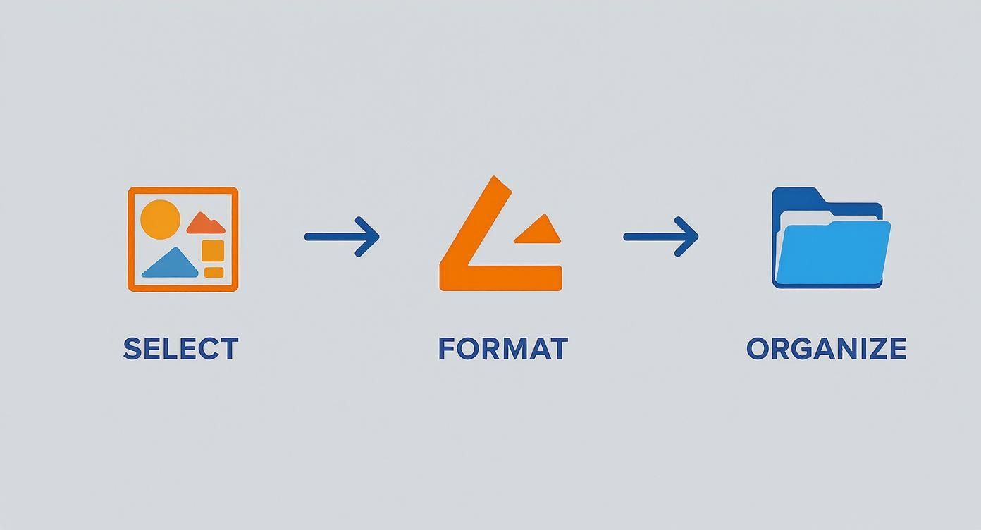 Workflow diagram showing three steps: select images, format content, and organize into folders
