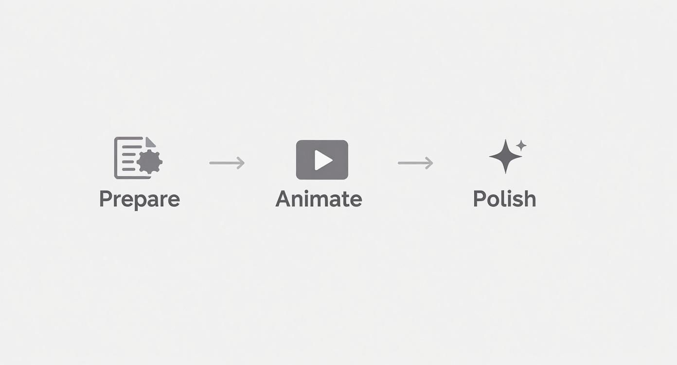 Infographic about how to animate illustrations