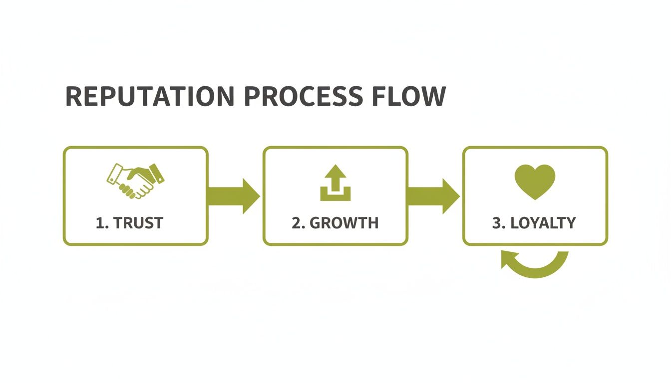 A three-step reputation process flow chart showing trust leading to growth and then loyalty, with a feedback loop.