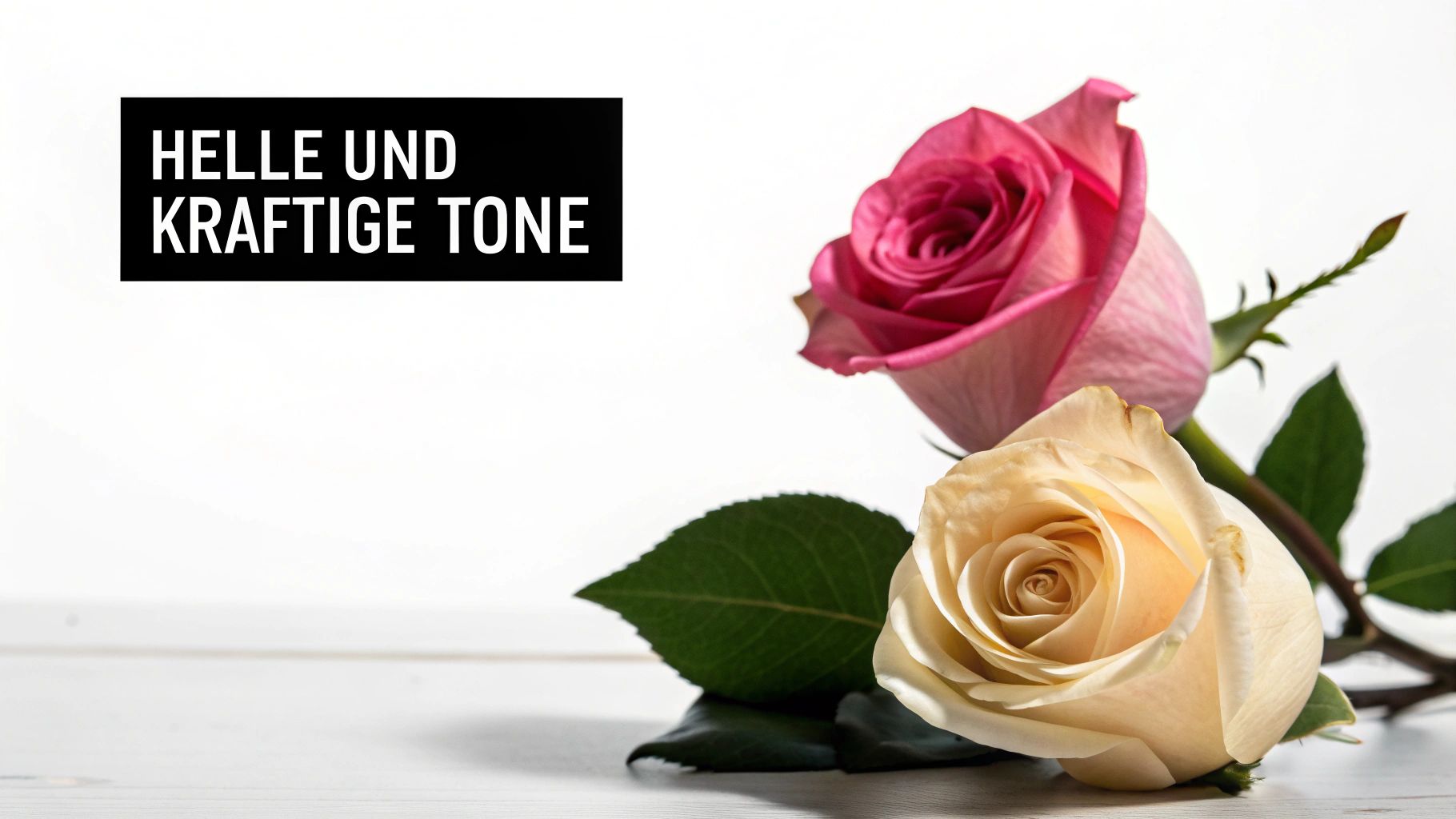Two roses, one pink and one cream-colored, lie on a light wooden table with the text 'Bright and bold tones'.