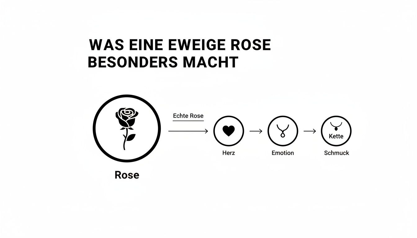 Un diagrama ilustra cómo una rosa real, a través del corazón y la emoción, se convierte en una pieza especial de joyería con cadena.