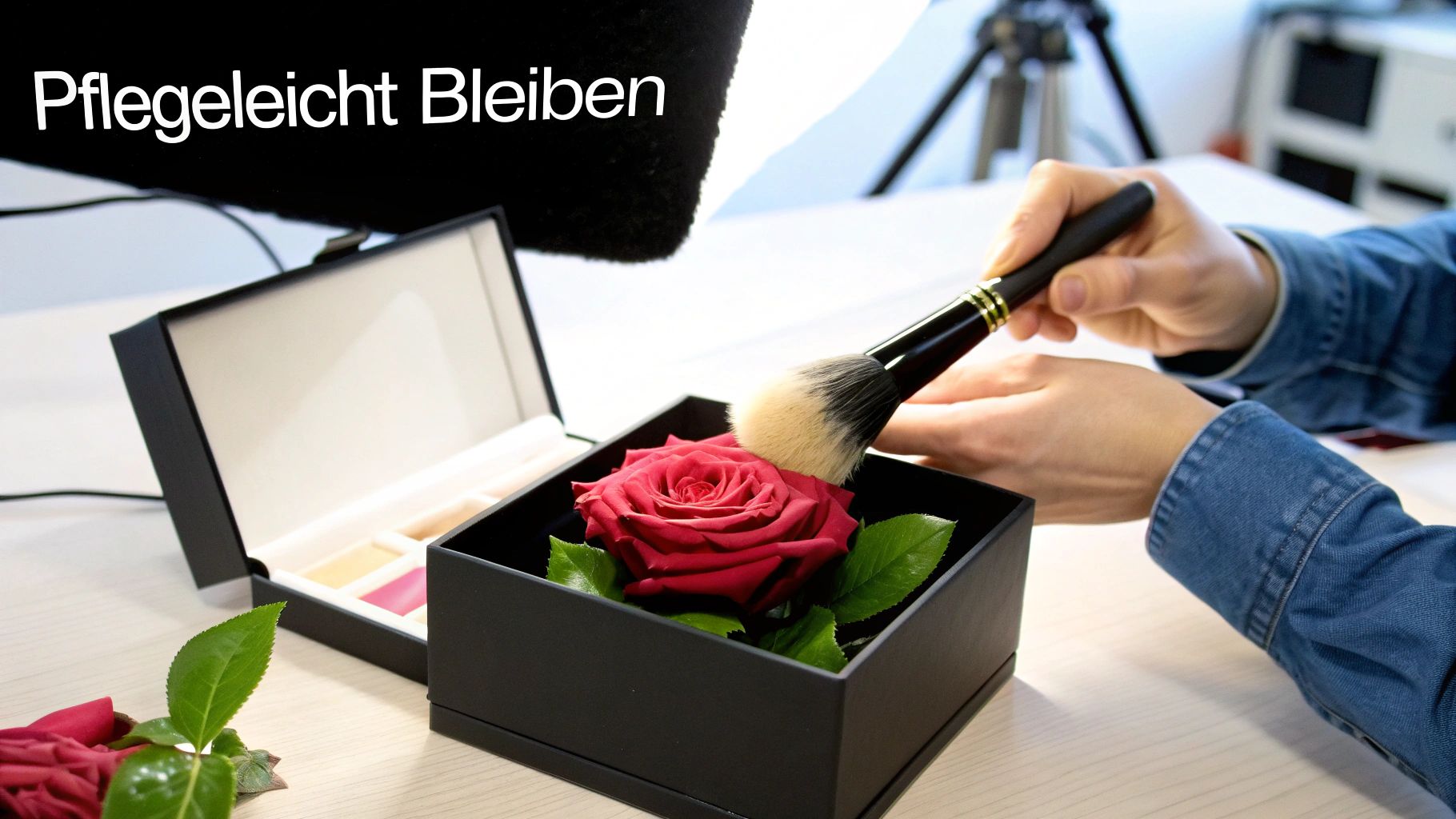 Eine Hand bürstet vorsichtig eine rote ewige Rose in einer schwarzen Geschenkbox. Text: Pflegeleicht Bleiben.