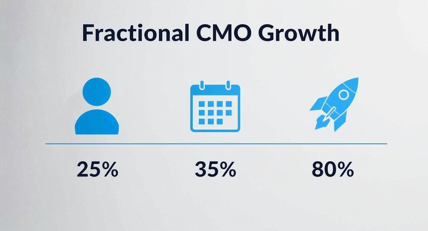 Infographic showing Fractional CMO growth with icons for people (25%), calendar (35%), and rocket (80%).