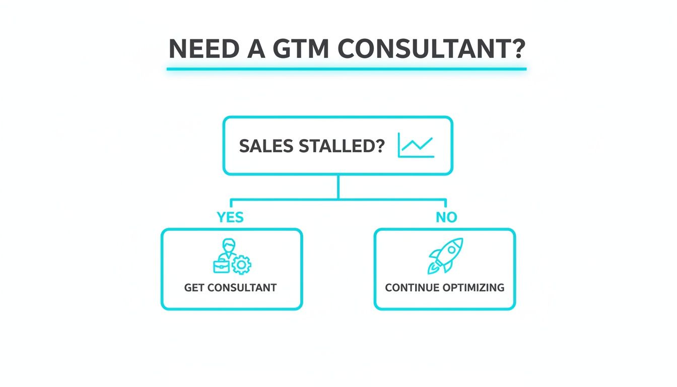 Flowchart asking 'Sales Stalled?' to determine if a GTM consultant is needed.